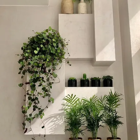 Apartamento T1 No Centro Te-U Torres Vedras Exterior foto
