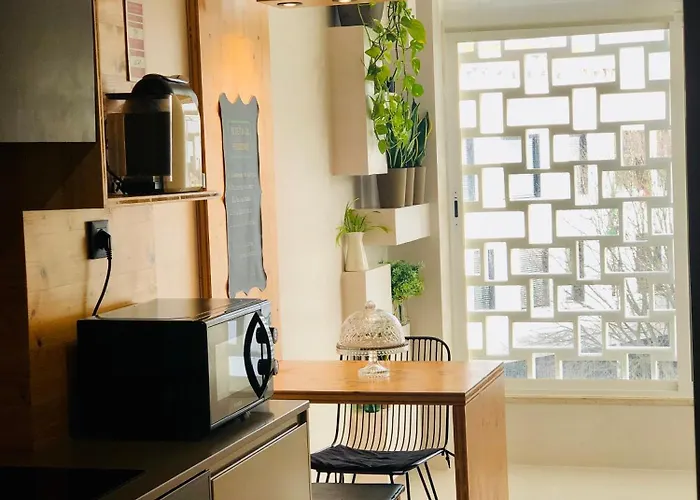Apartamento T1 No Centro Te-U